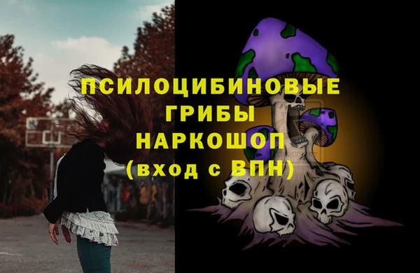 MDMA Бородино