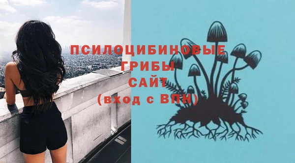 СК Богородск