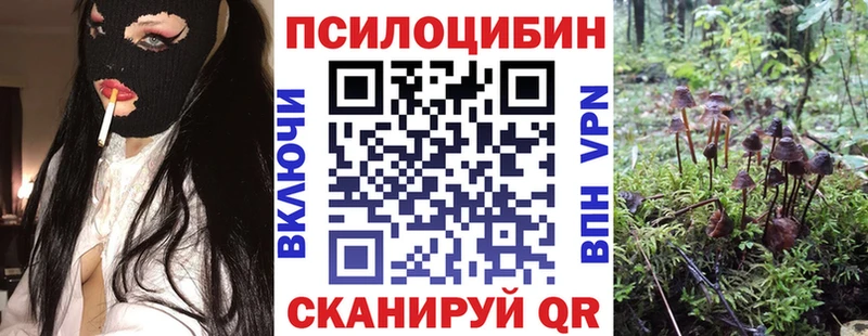 Псилоцибиновые грибы Magic Shrooms  Купить  Полярный 